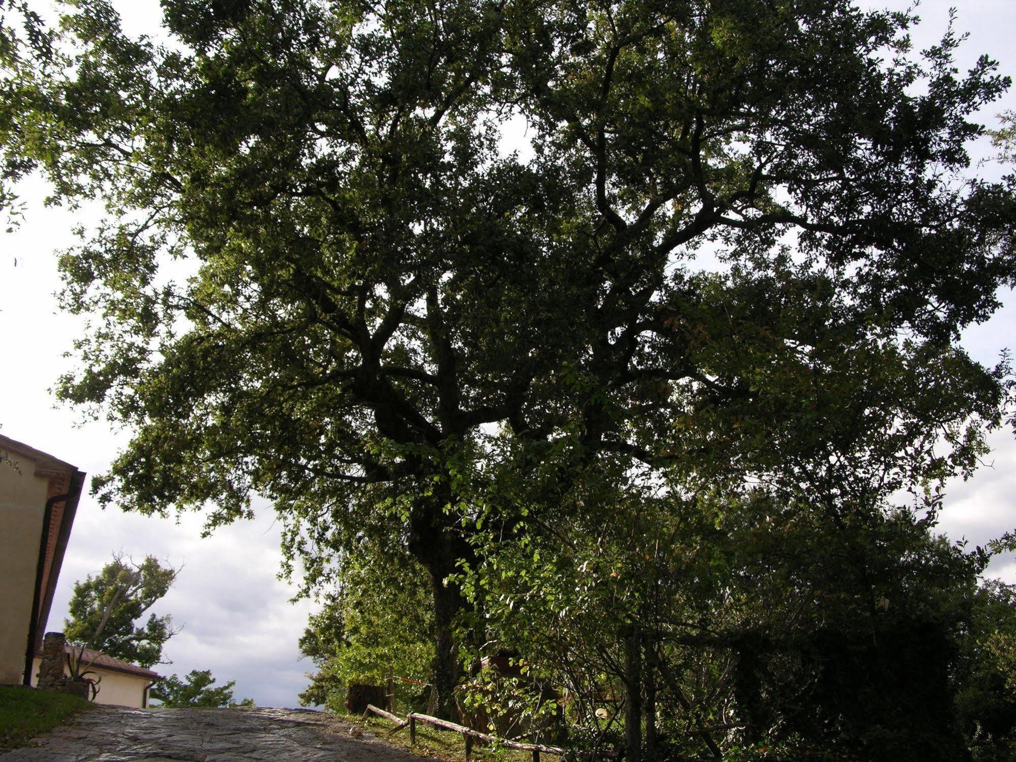 Agriturismo La Meria Semproniano Buitenkant foto